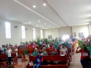 2 SITE PROCISSÃO E MISSA DE RAMOS SENHOR B. JESUS CAMPINAPOLIS00004