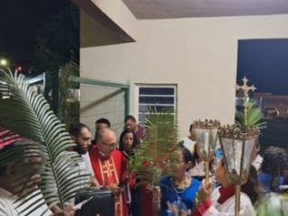 2 SITE PROCISSÃO E MISSA DE RAMOS SENHOR B. JESUS CAMPINAPOLIS00008